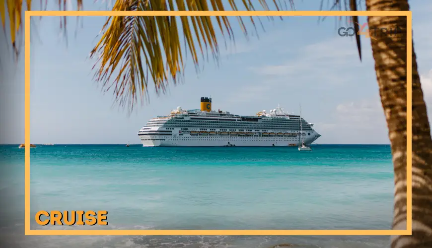 Cruise