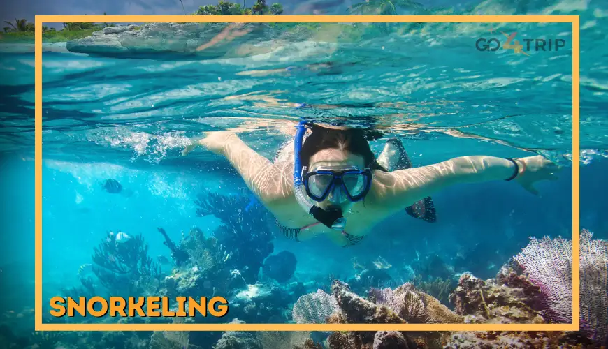 Snorkeling
