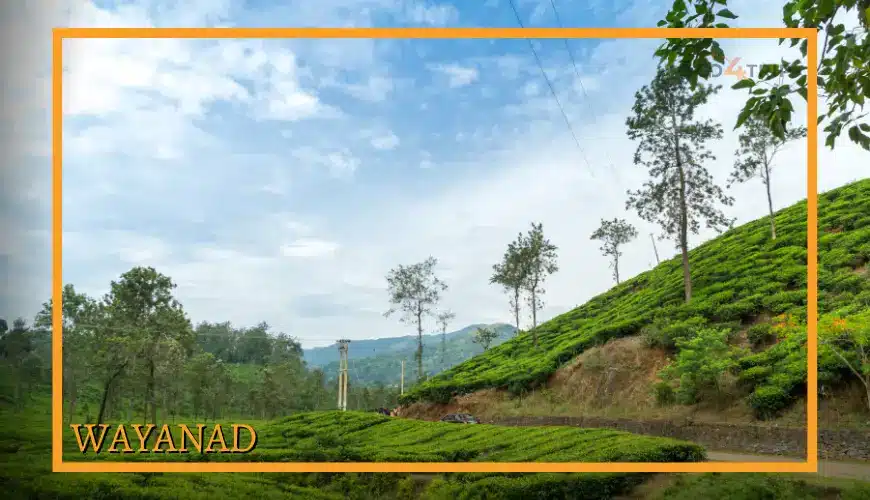 Wayanad
