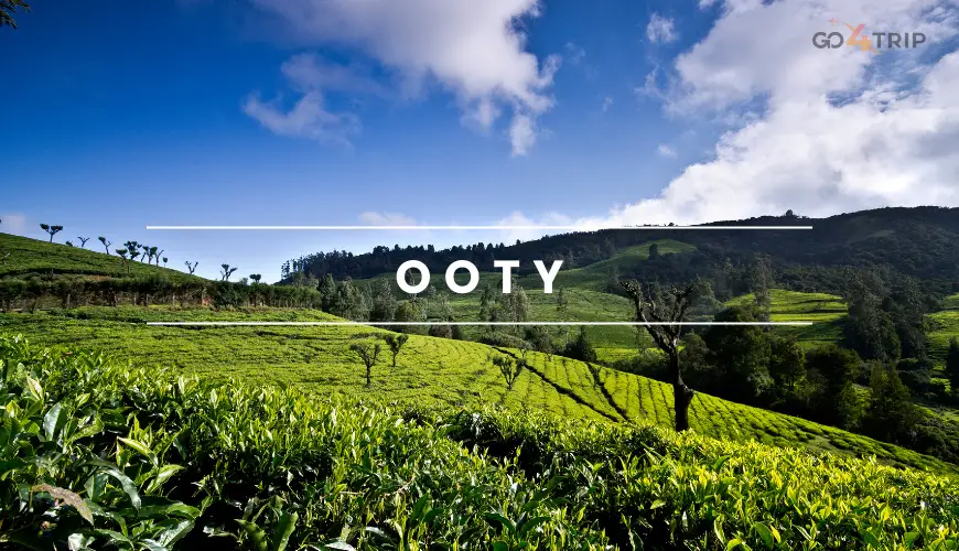 Ooty
